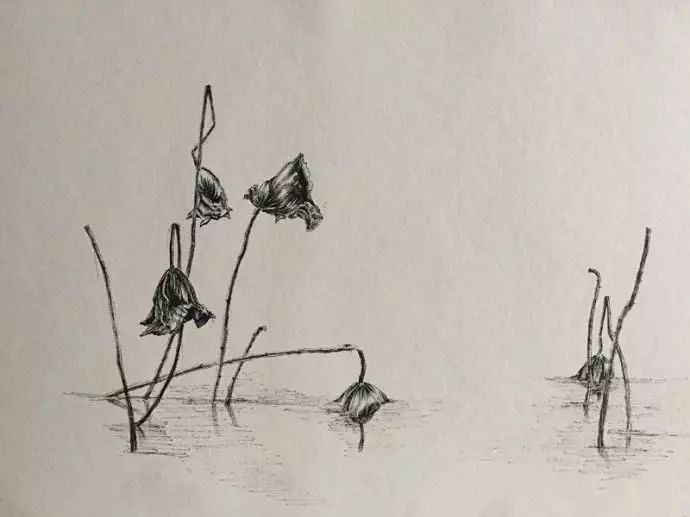 对联写意丨 印象 · 残荷