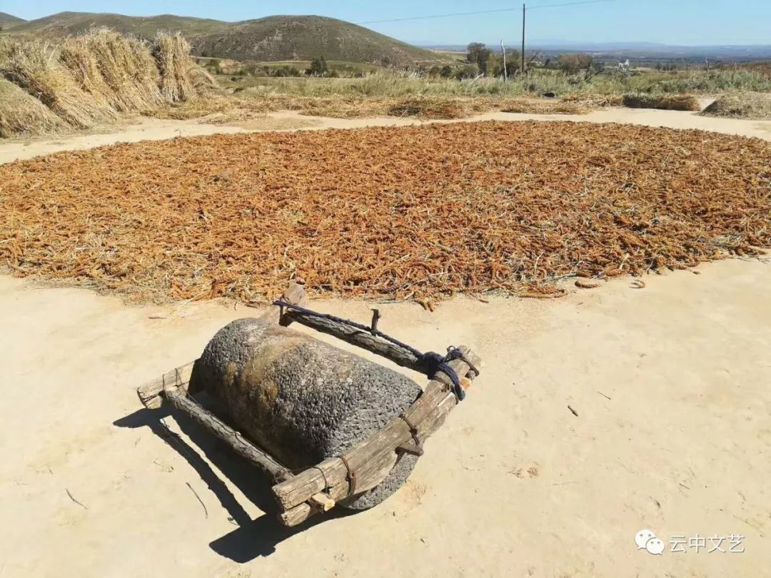 散文 | 上学,写对联与农活儿