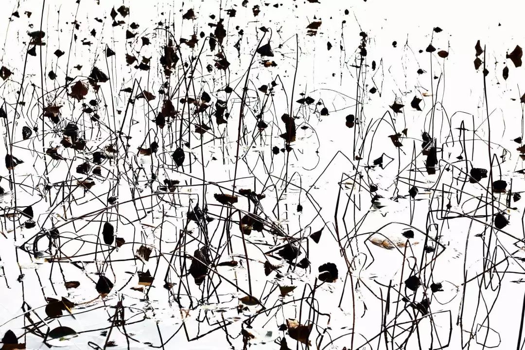 对联写意丨印象残荷