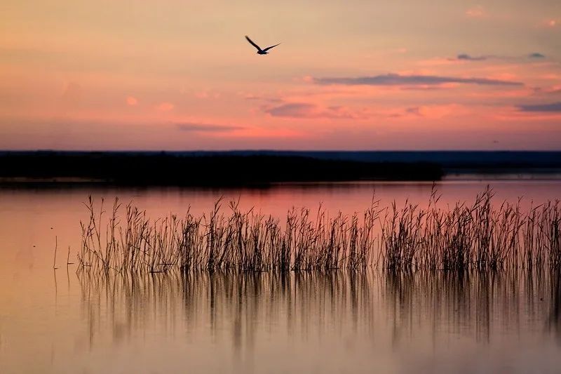 每日一对5月24日本期出句秋水伊人孤帆断雁